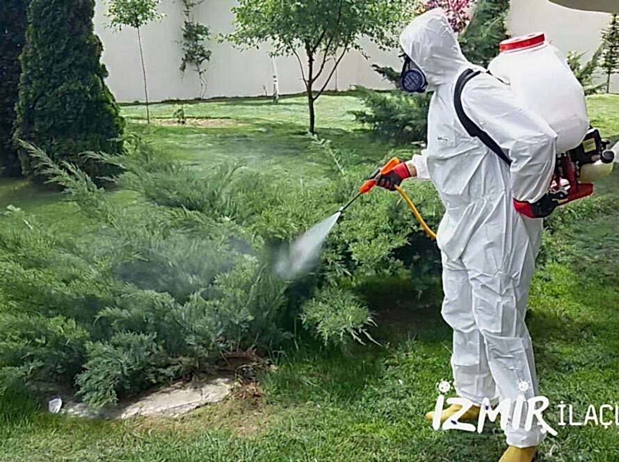 İzmir Dezenfeksiyon Hizmeti