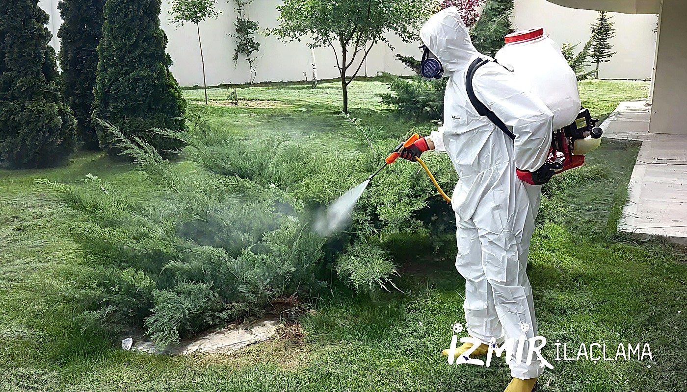 İzmir Dezenfeksiyon Hizmeti