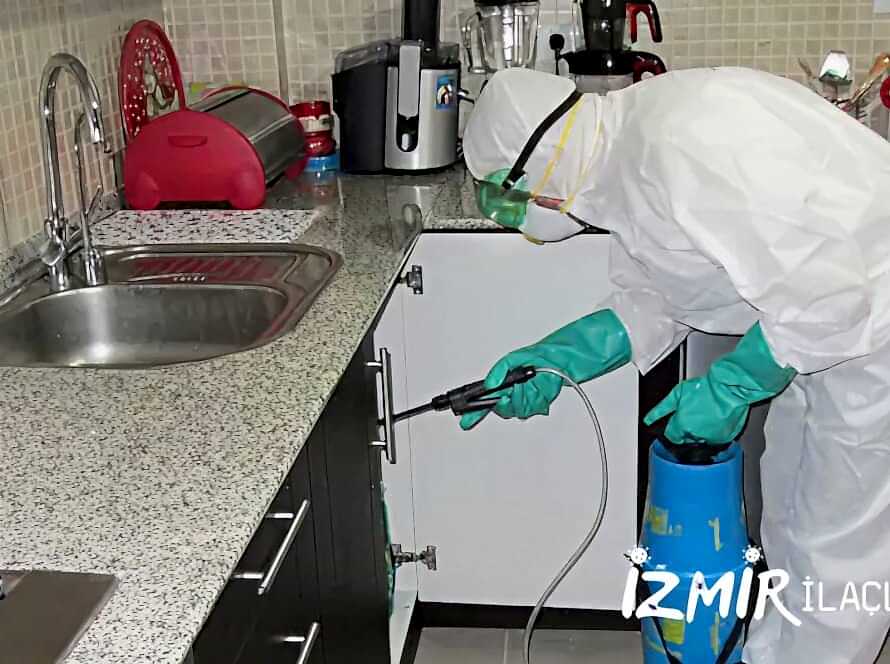 İzmir Ev İlaçlama
