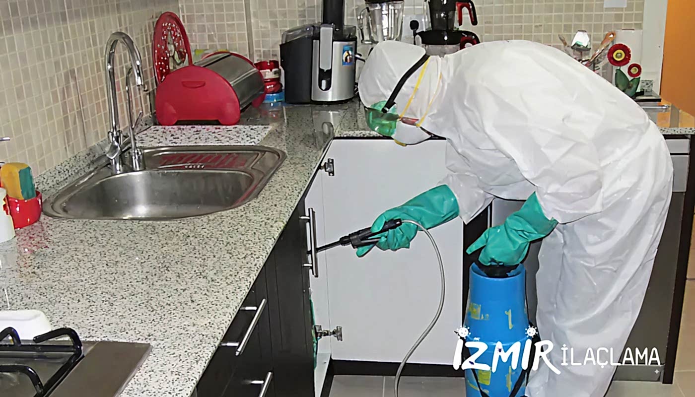İzmir Ev İlaçlama