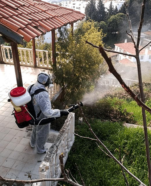 Gemini_Generated_Image_g8zqrqg8zqrqg8zq